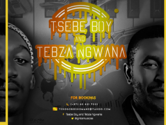 Tsebe Boy and Tebza Ngwana - Wa Yaka Wena